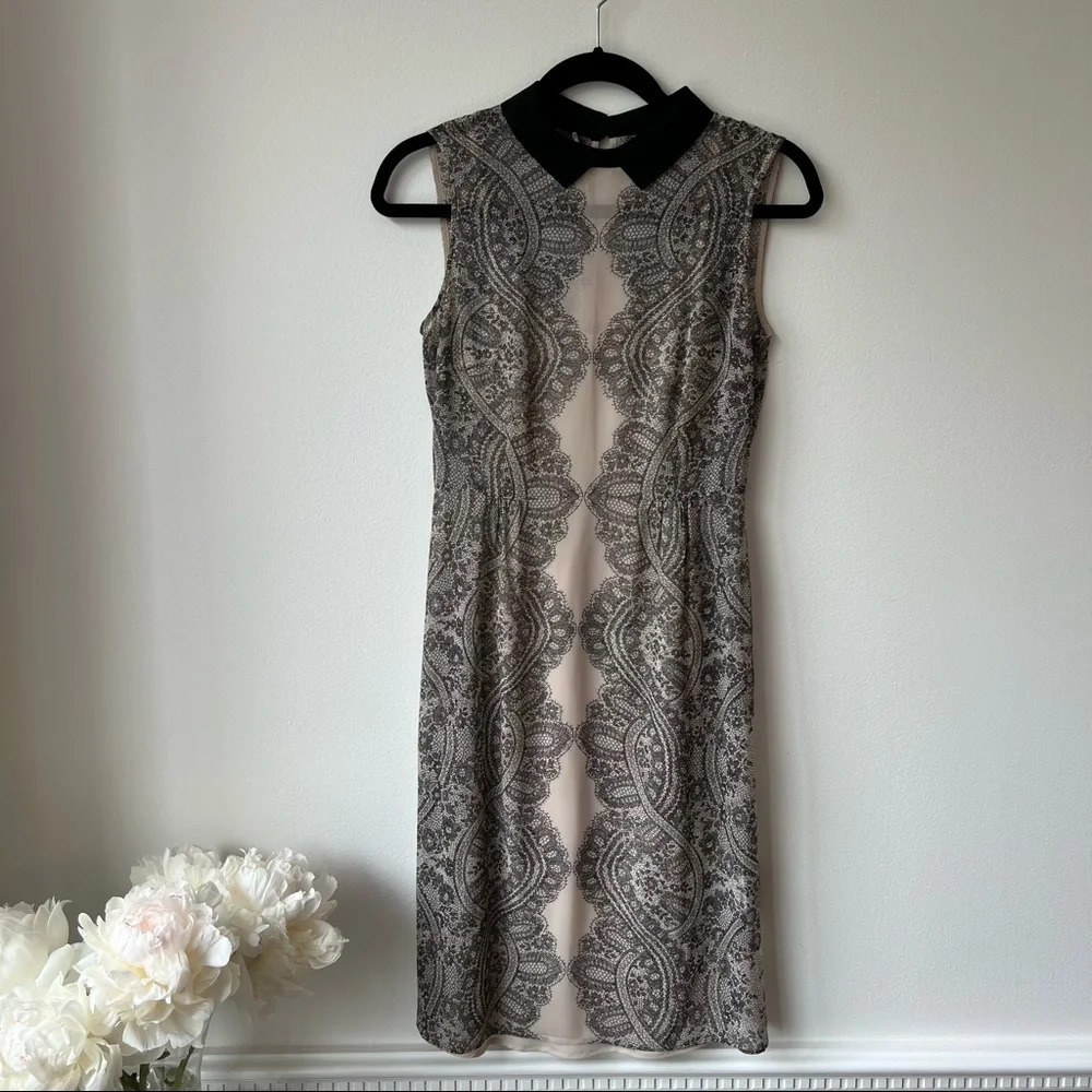 Hobbs Invitation Emilia Collar Dress- bought in UK, never worn, tags attached